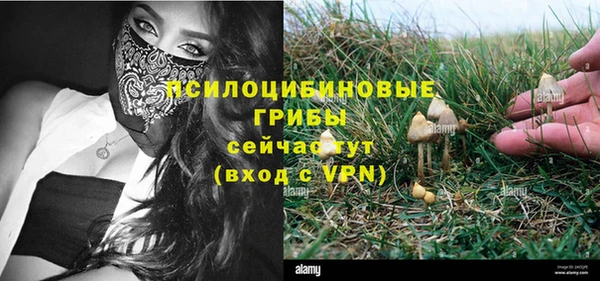 ECSTASY Новокубанск