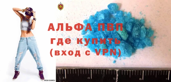 стафф Новозыбков