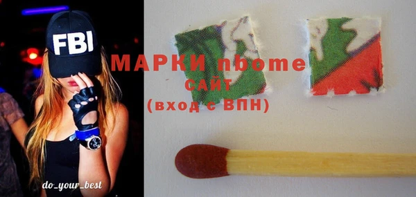 стафф Новозыбков
