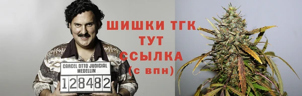 стафф Новозыбков