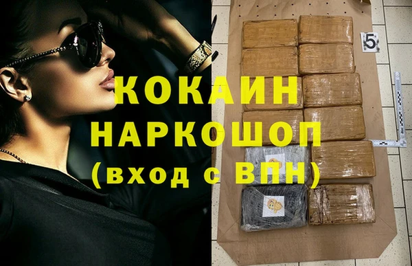 стафф Новозыбков