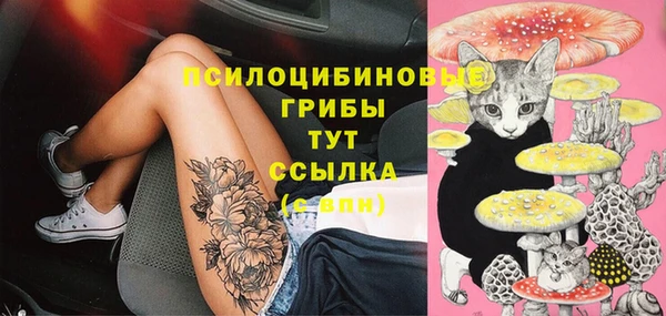 ECSTASY Новокубанск
