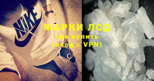стафф Новозыбков