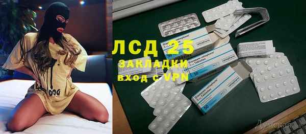 стафф Новозыбков