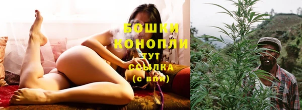 стафф Новозыбков
