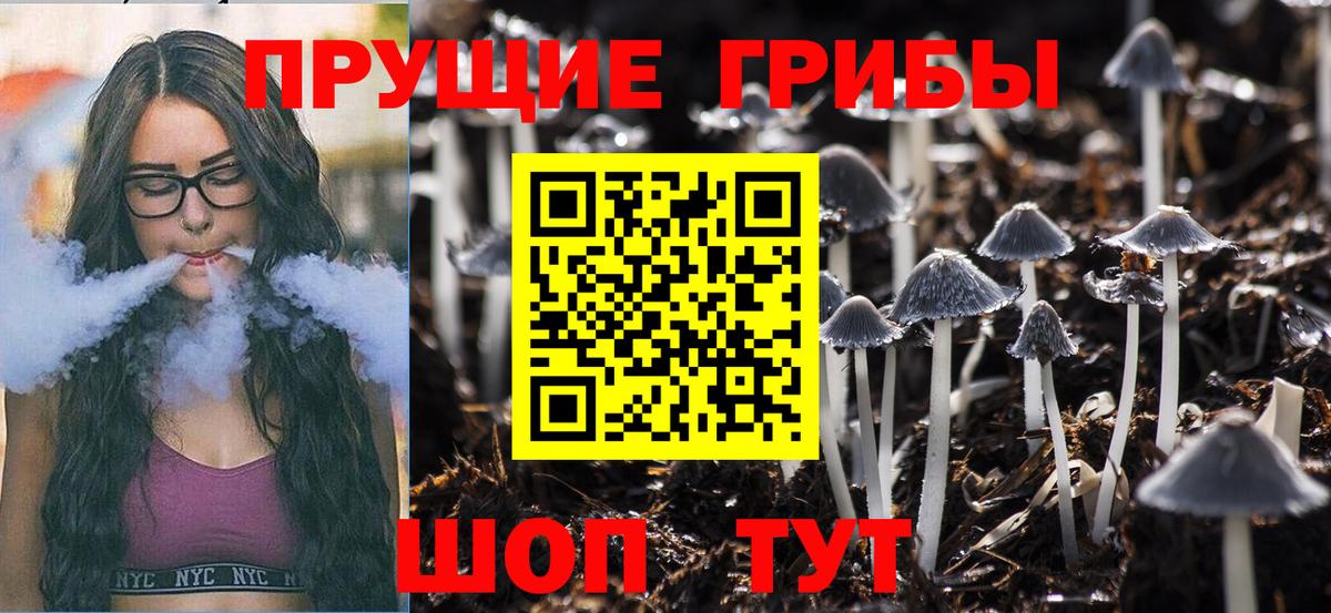 Саяногорск  Псилоцибиновые грибы Psilocybine cubensis  Вход с VPN 