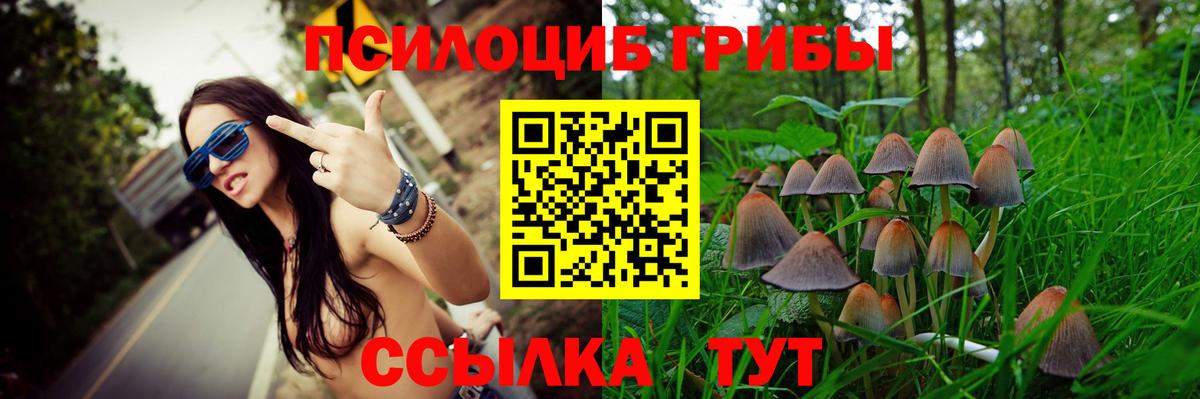 Псилоцибиновые грибы MAGIC MUSHROOMS Саяногорск